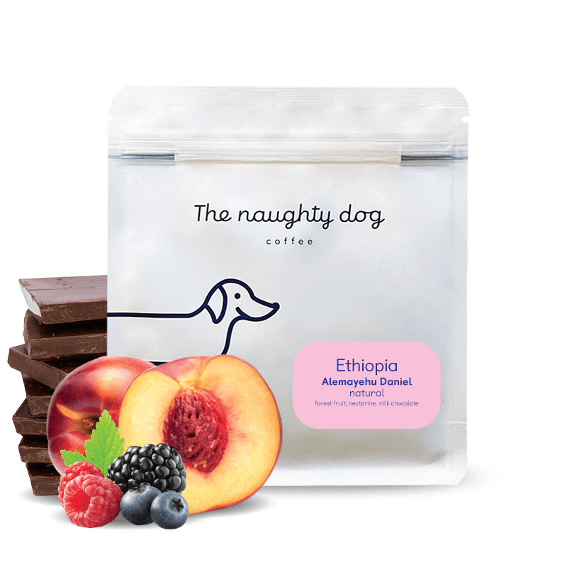 Ethiopia ALEMAYEHU DANIEL