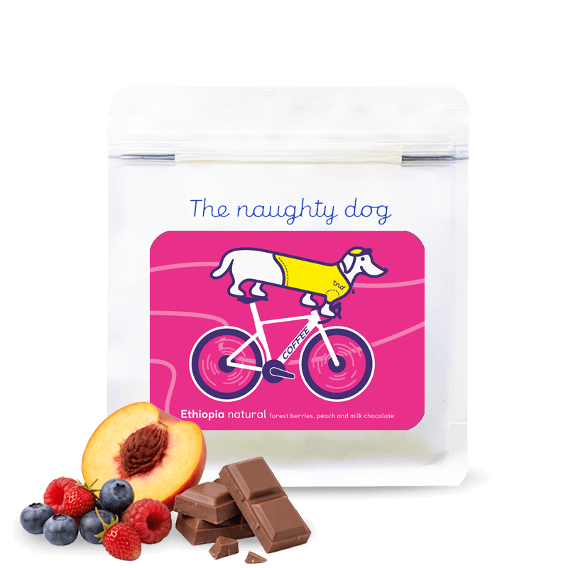 Cyclist Gedeb