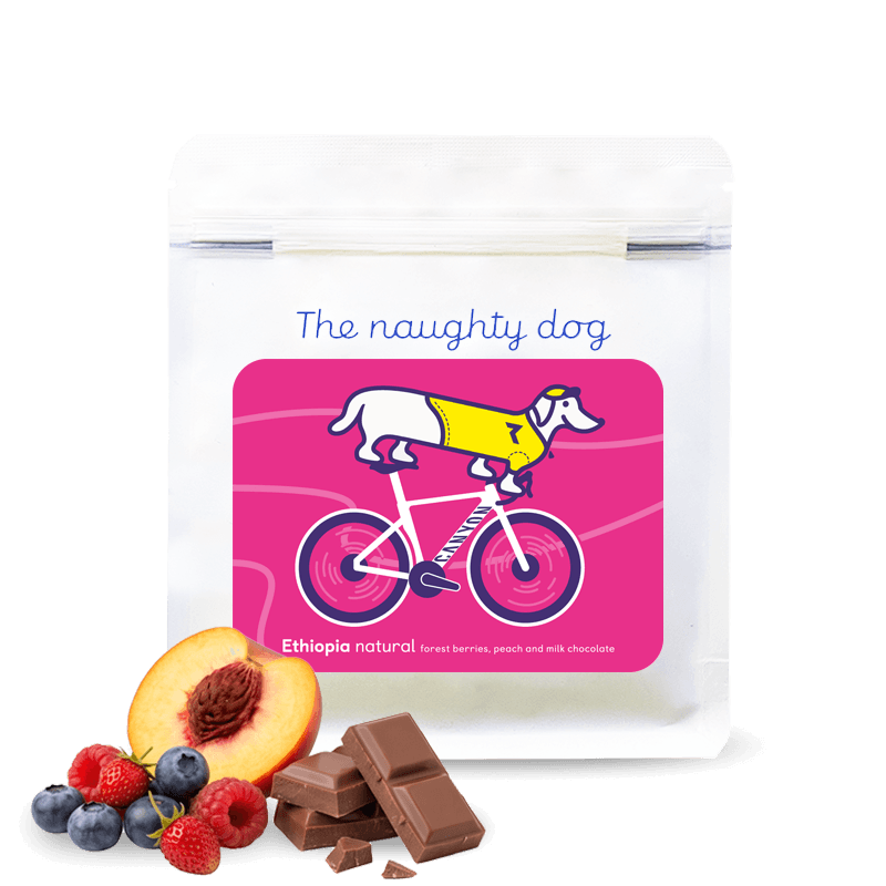 Cyclist Gedeb