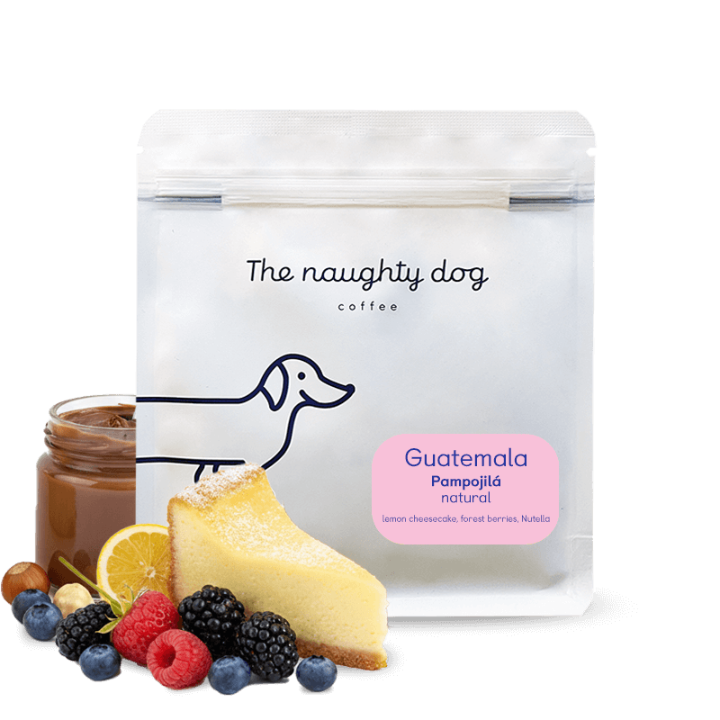 Guatemala PAMPOJILÁ