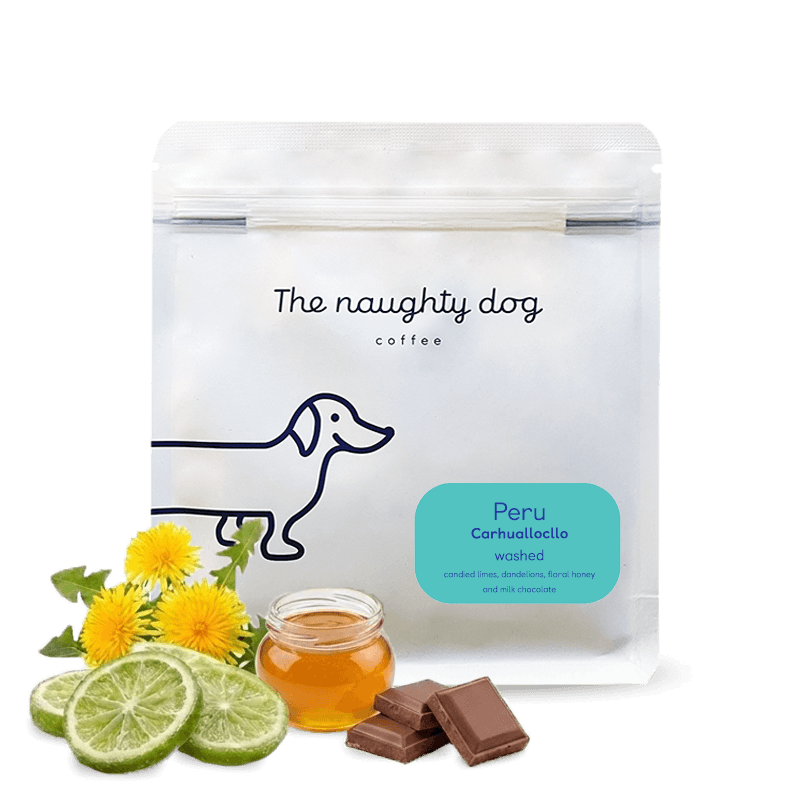 EFRAIN CARHUALLOCLLO